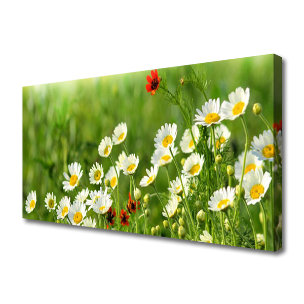 Print van doek Daisy plant nature