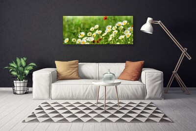 Print van doek Daisy plant nature