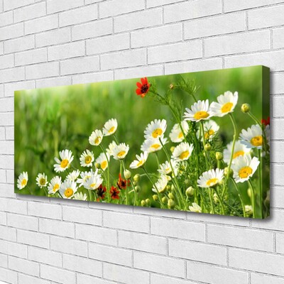 Print van doek Daisy plant nature