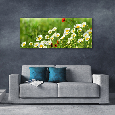 Print van doek Daisy plant nature