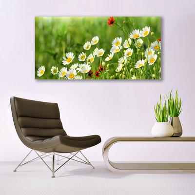 Print van doek Daisy plant nature