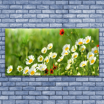 Print van doek Daisy plant nature