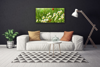 Print van doek Daisy plant nature