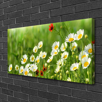 Print van doek Daisy plant nature