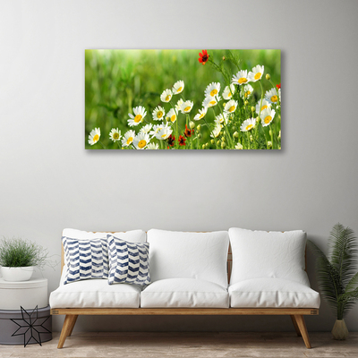 Print van doek Daisy plant nature