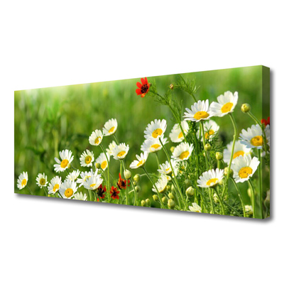 Print van doek Daisy plant nature