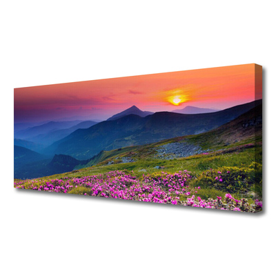 Print van doek Mountain meadow flowers landscape