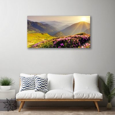 Print van doek Mountain meadow landscape