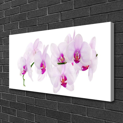 Print van doek Bloemen plant nature