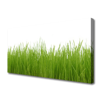 Print van doek Grass nature plant