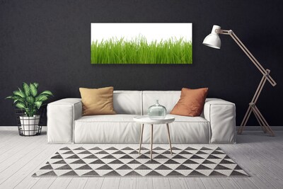 Print van doek Grass nature plant