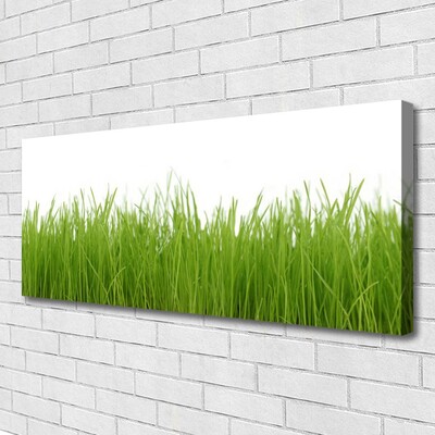 Print van doek Grass nature plant