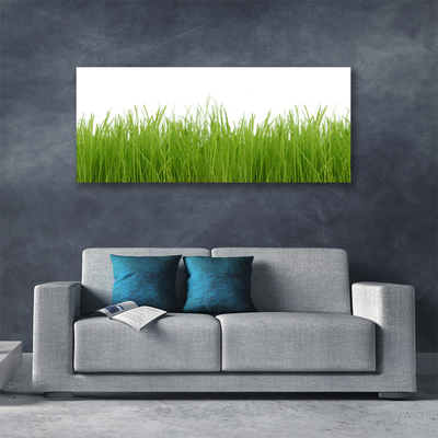 Print van doek Grass nature plant