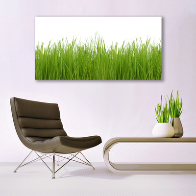 Print van doek Grass nature plant