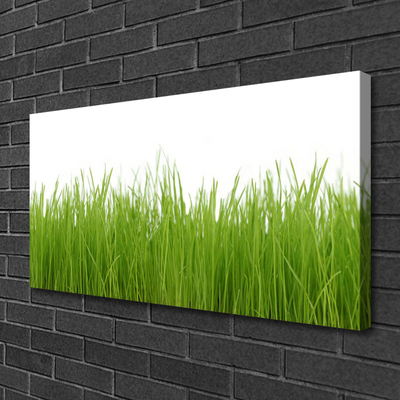 Print van doek Grass nature plant