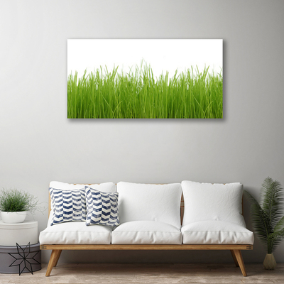 Print van doek Grass nature plant