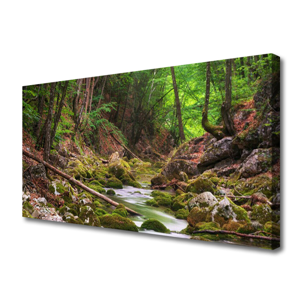 Print van doek Forest moss nature