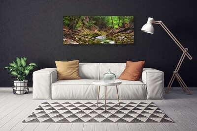 Print van doek Forest moss nature