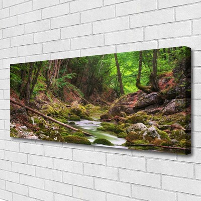 Print van doek Forest moss nature