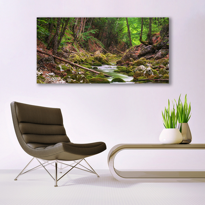 Print van doek Forest moss nature