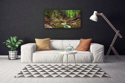 Print van doek Forest moss nature