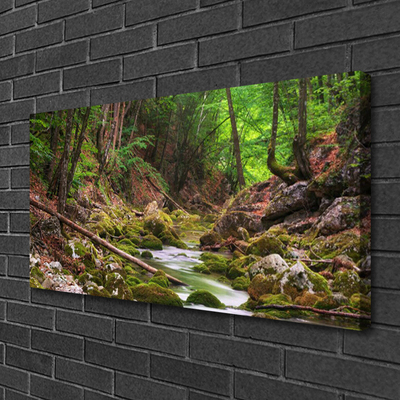 Print van doek Forest moss nature