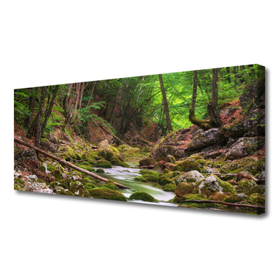 Print van doek Forest moss nature