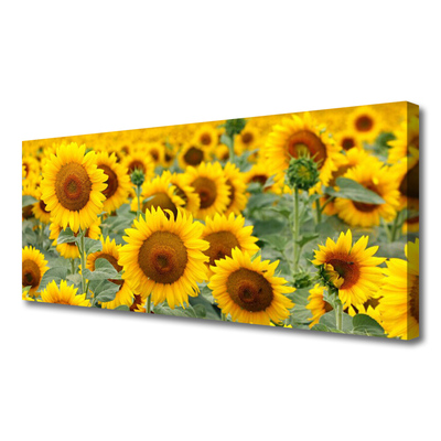 Print van doek Plant zonnebloemen natuur