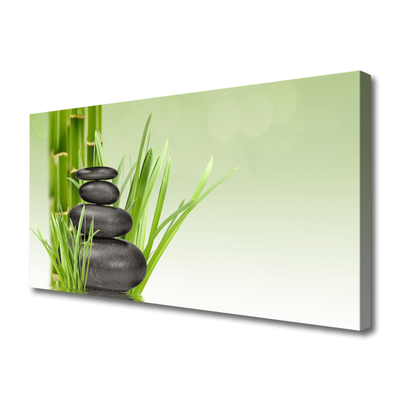 Print van doek Bamboo grass plant natuur