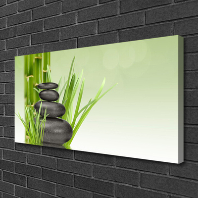 Print van doek Bamboo grass plant natuur