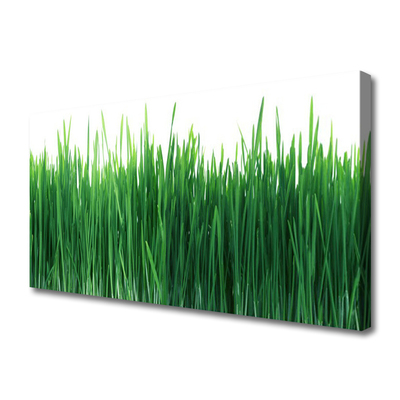 Print op doek Grass nature plant