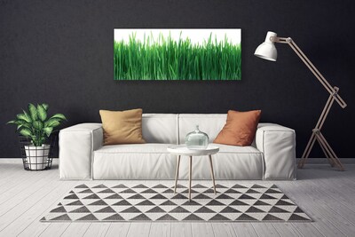 Print op doek Grass nature plant