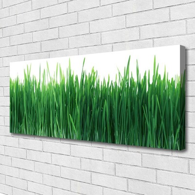 Print op doek Grass nature plant