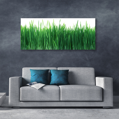 Print op doek Grass nature plant