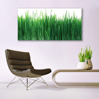 Print op doek Grass nature plant