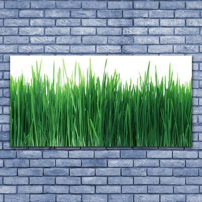 Print op doek Grass nature plant