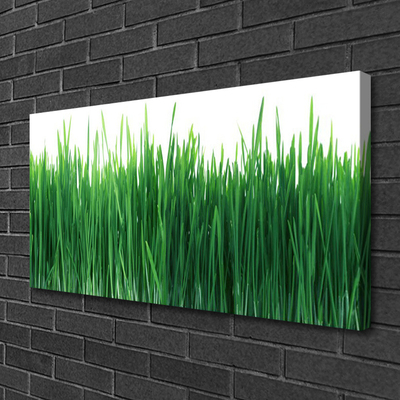 Print op doek Grass nature plant