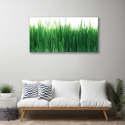 Print op doek Grass nature plant