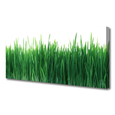 Print op doek Grass nature plant