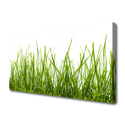 Print op doek Grass nature plant