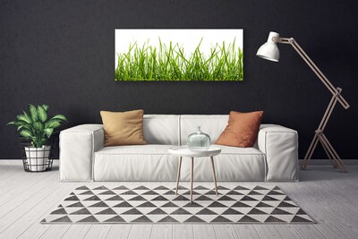 Print op doek Grass nature plant