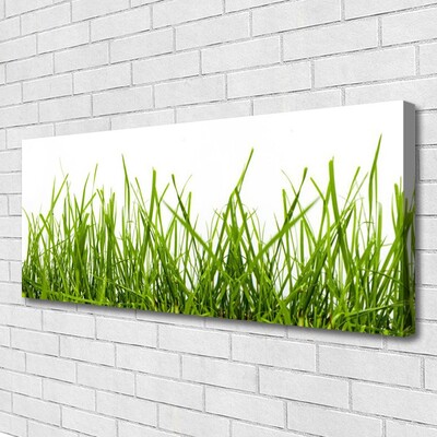 Print op doek Grass nature plant