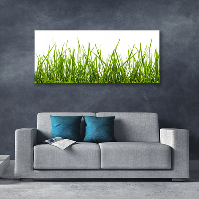 Print op doek Grass nature plant