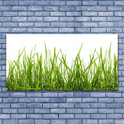 Print op doek Grass nature plant