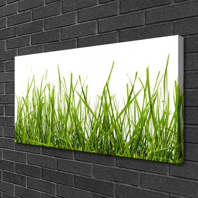 Print op doek Grass nature plant