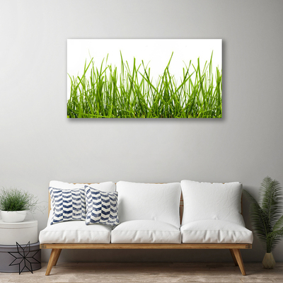 Print op doek Grass nature plant