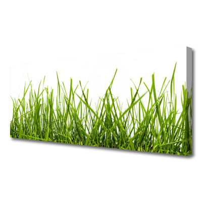 Print op doek Grass nature plant