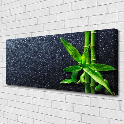 Print op doek Bamboo stengelplant nature