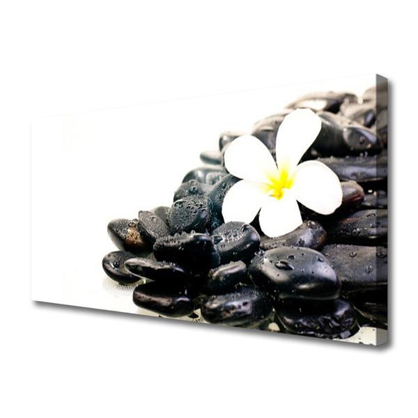 Print op doek Bloemen stones art