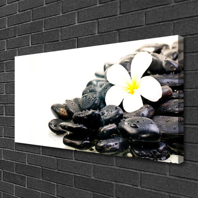 Print op doek Bloemen stones art